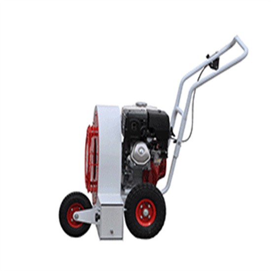 Pavement blower
