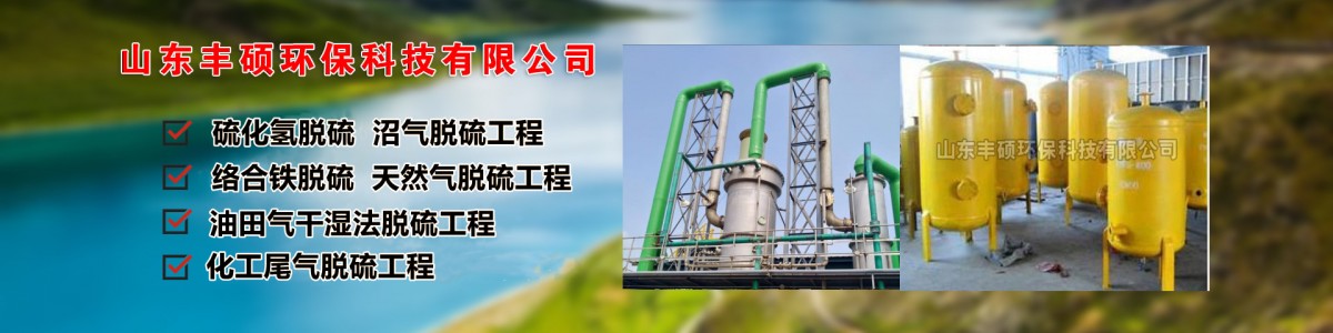 Shandong Fengshuo Environmental Protection Technology Co., Ltd.