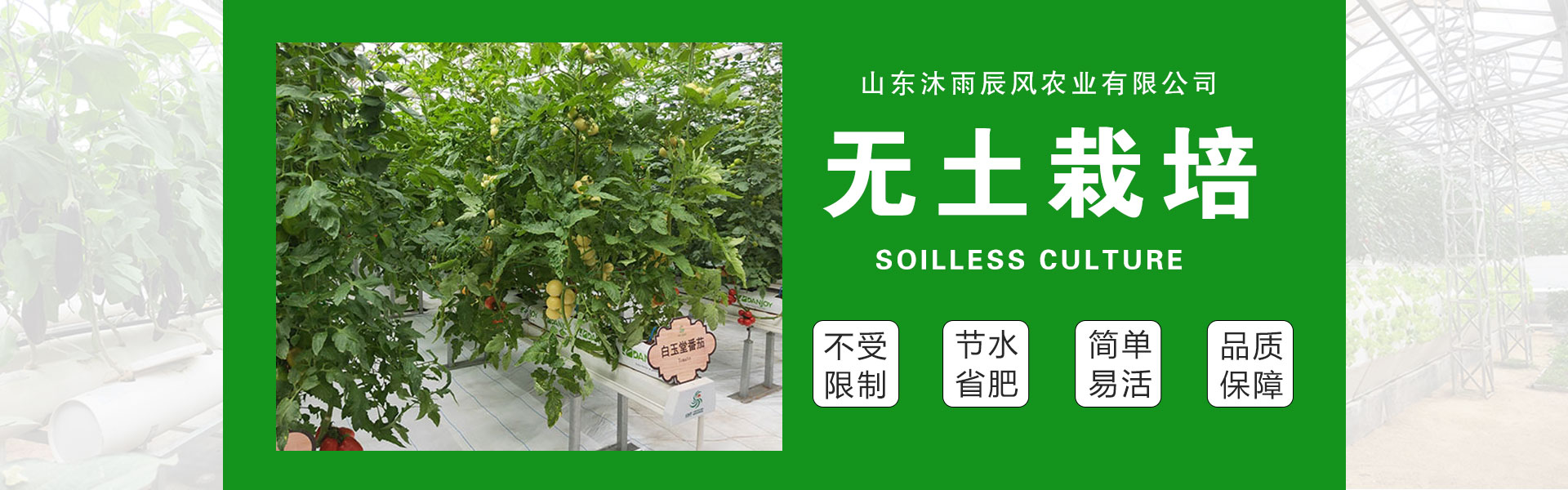 山东沐雨辰风农业有限公司