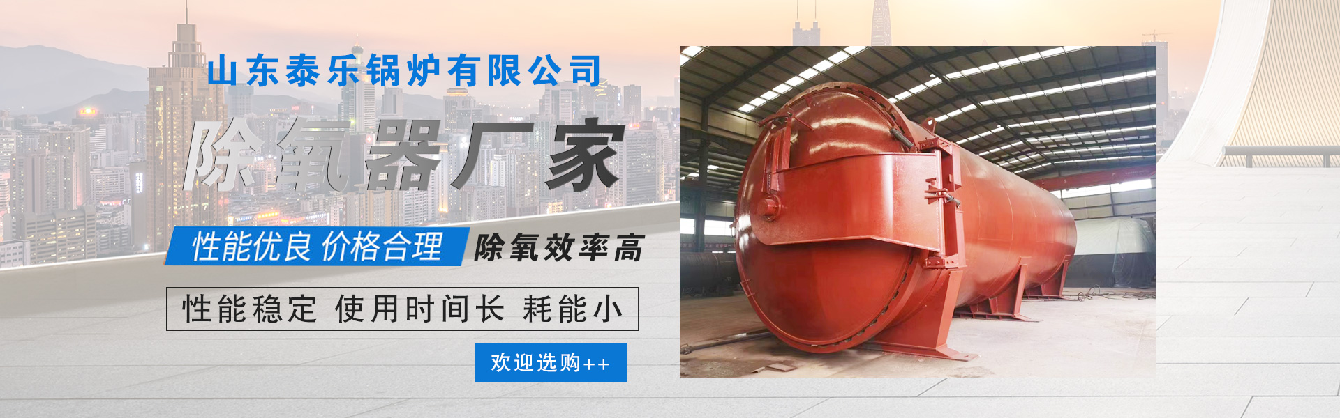 Shandong TaiLe Boiler Co., Ltd.