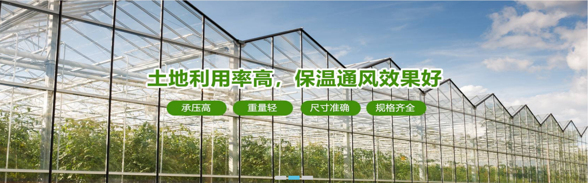Anyang Huaxia Agricultural Technical Service Co., Ltd.