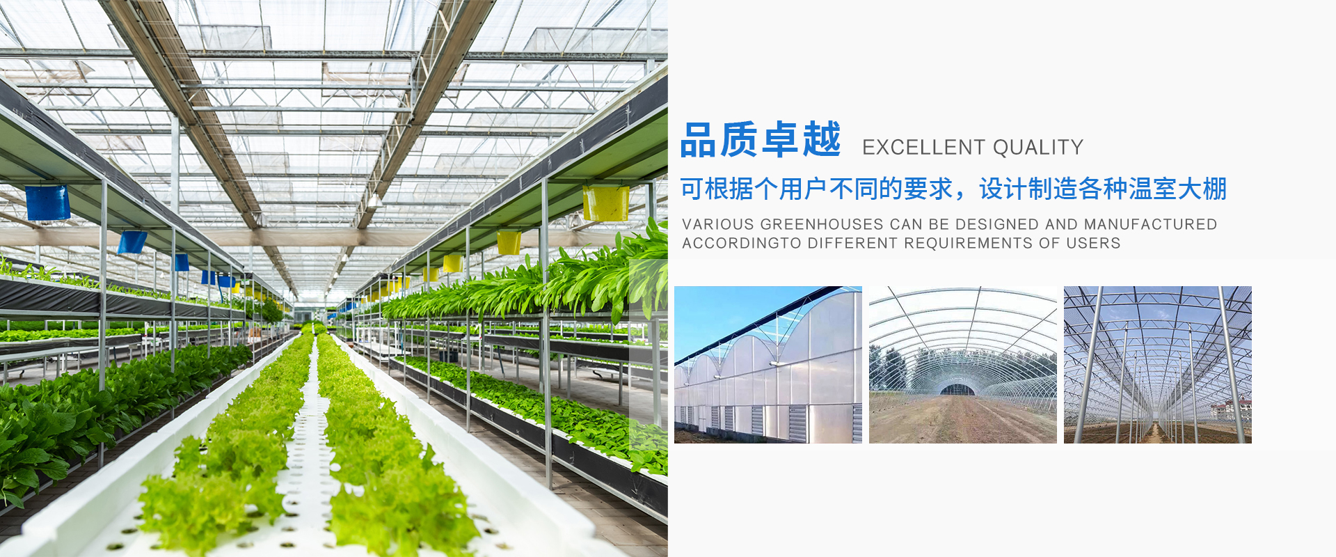 Cangzhou Daifeng Agricultural Facilities Engineering Co., Ltd.