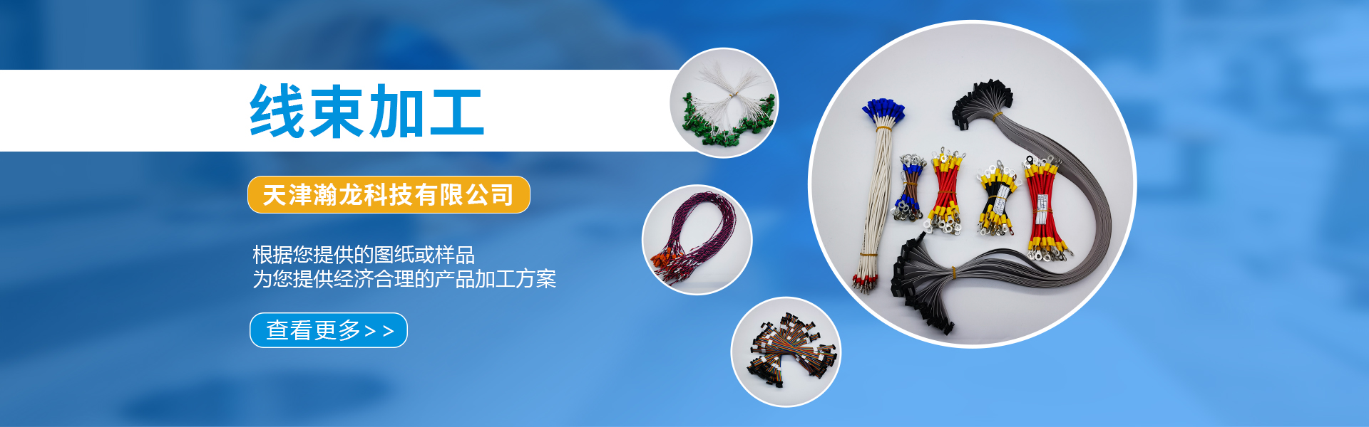 Tianjin Hanlong Technology Co., Ltd.