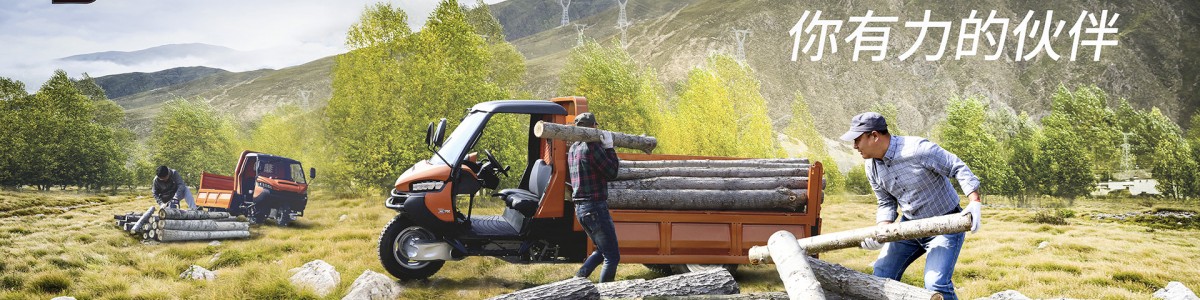 Shandong Wuzheng Group Co., Ltd.