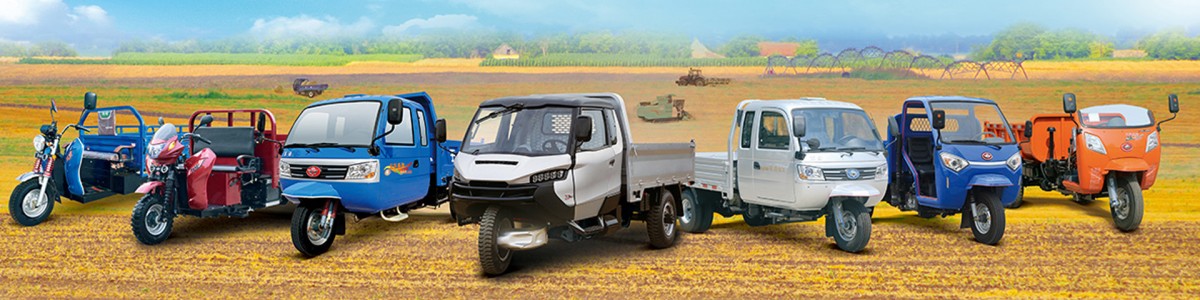 Shandong Wuzheng Group Co., Ltd.