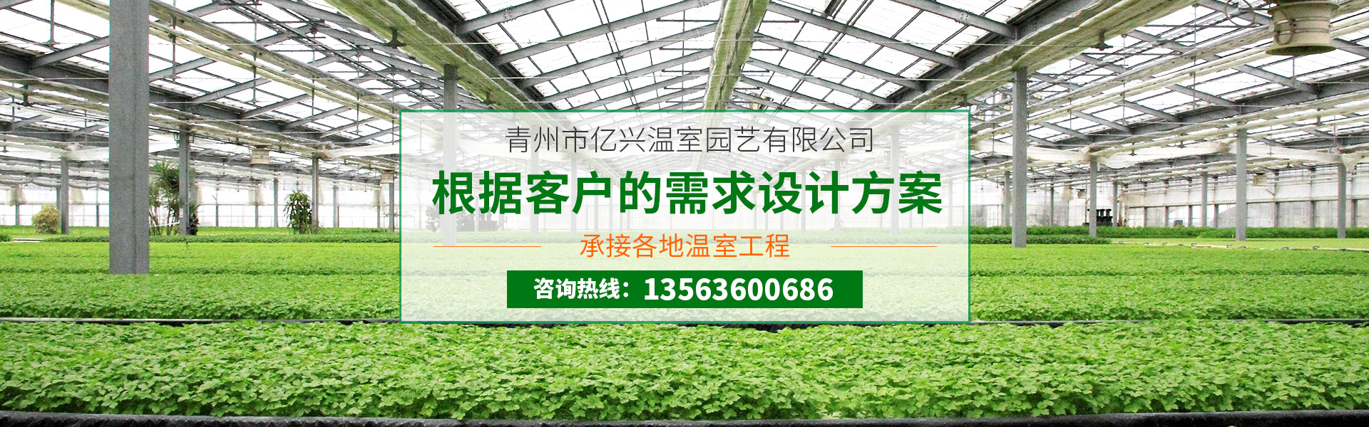Qingzhou Yixing Greenhouse & Gardenery Co., Ltd.