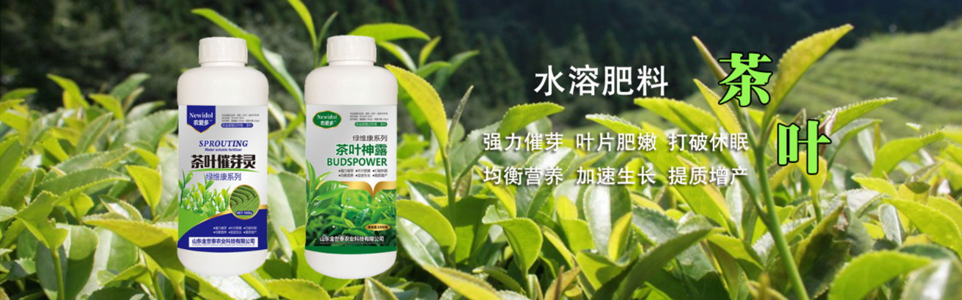 Shandong Jinshita Agricultural Technology Co., Ltd.