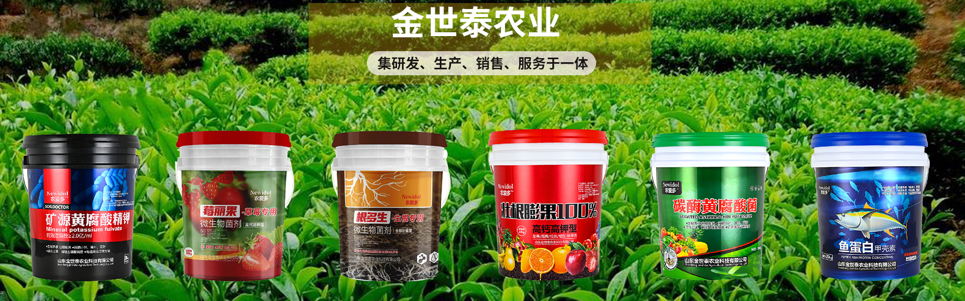 Shandong Jinshita Agricultural Technology Co., Ltd.