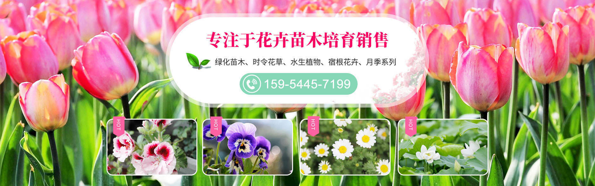 Qingzhou Henglin Flower and Seedling Co., Ltd.